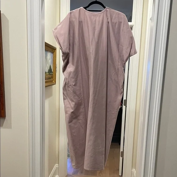 Sofie D'Hoore Soft Pink Maxi Dress (bw) - Picture 9 of 9